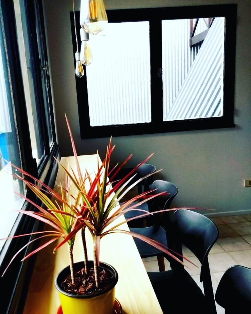 Trastienda Guest House 엘 칼라파테 객실 사진