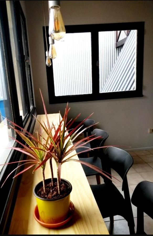 Trastienda Guest House 엘 칼라파테 외부 사진