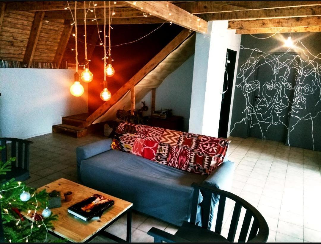 Trastienda Guest House 엘 칼라파테 외부 사진