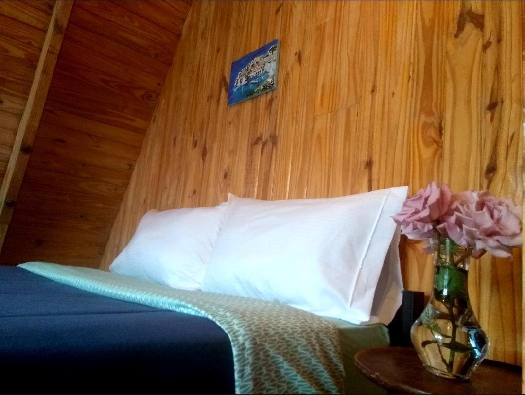 Trastienda Guest House 엘 칼라파테 외부 사진